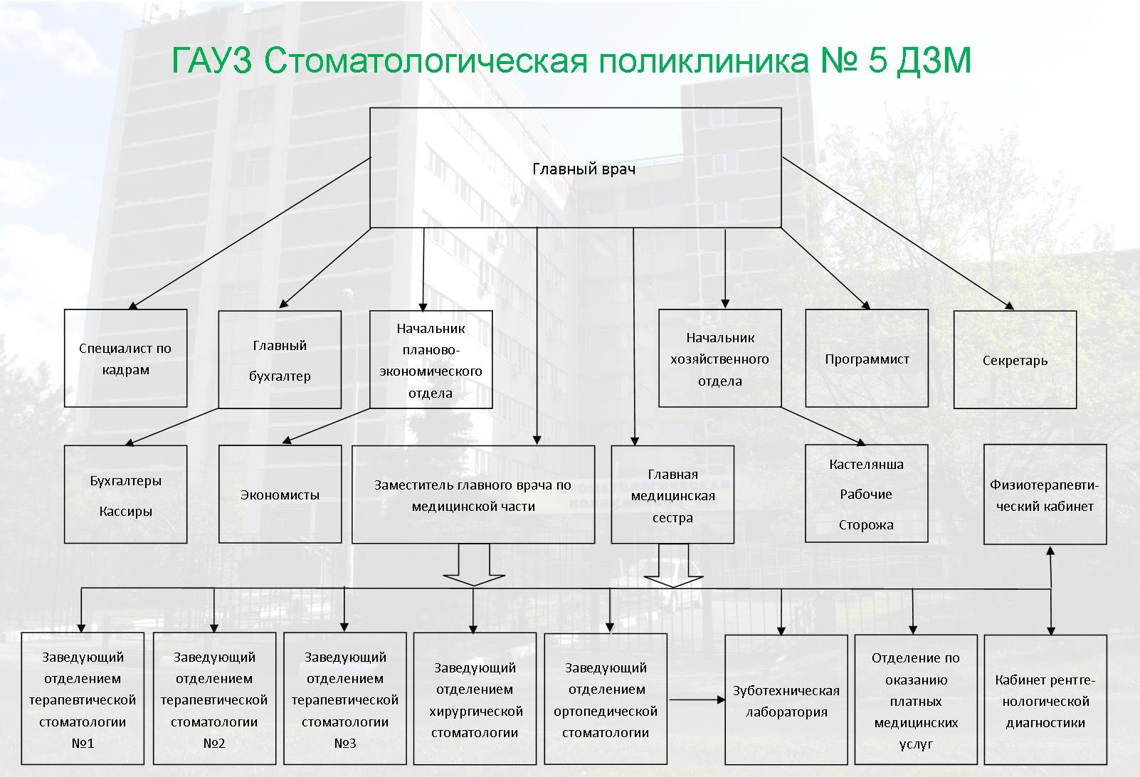 организация отделения стоматологической поликлиники