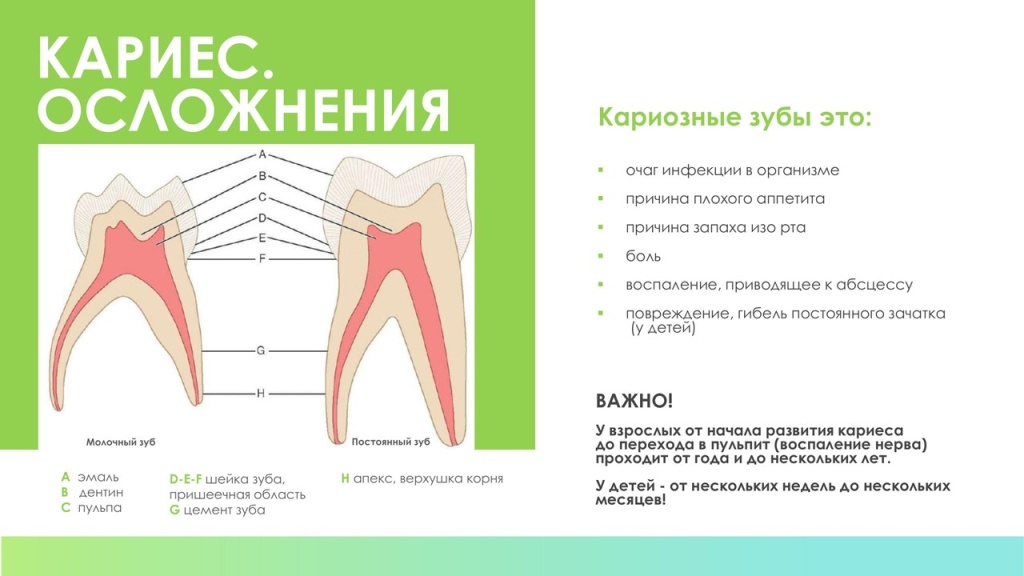 Слайд7.JPG